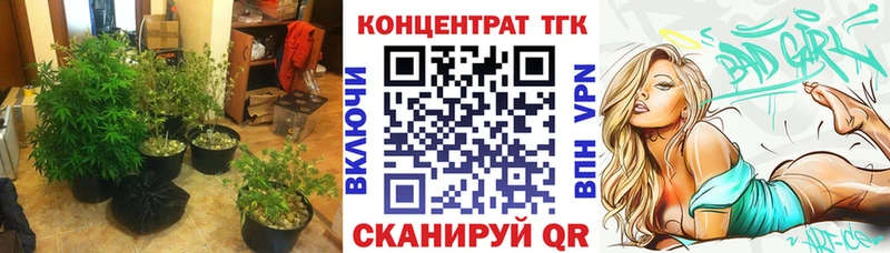 Купить где Алзамай ТГК THC oil
