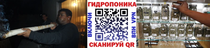 Конопля план  Купить где  Алзамай 